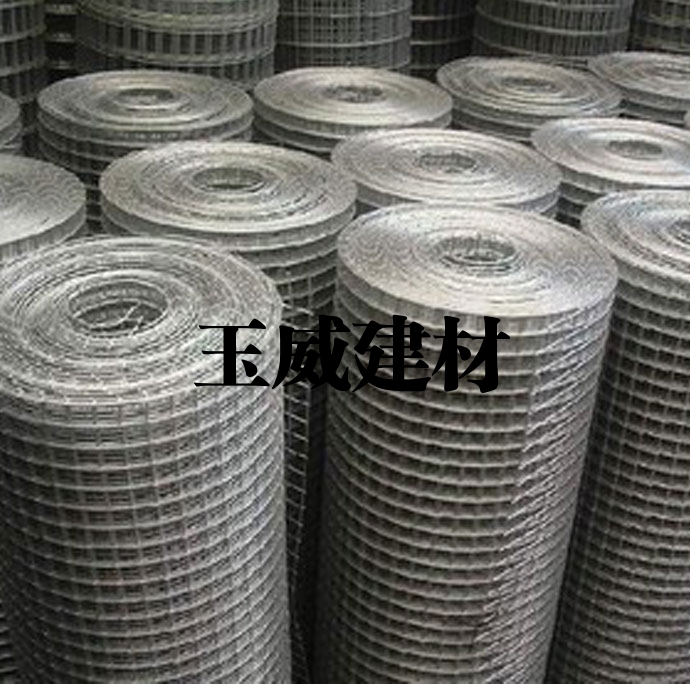 镀锌网